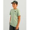 imageHUK Boys Performance Fishing Graphic Tee Short Sleeve TShirt for KidsFish Huk  Fog Green