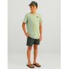 imageHUK Boys Performance Fishing Graphic Tee Short Sleeve TShirt for KidsFish Huk  Fog Green